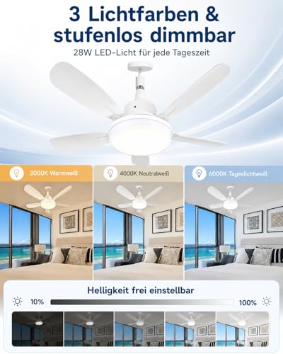 WRMING Ceiling Fan with Light, 62 cm Silent Ceiling Fan 25dB with Remote Control, 3 Speed, 3000/4000/6000K, Chandelier E27 Socket, 2/4H Timer, for Bedroom, Kitchen, Living Room