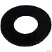 Pentair 17351-0009 StaRite Pool & Spa Pump Water Slinger