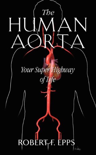 The Human Aorta: Your Super Highway of Life