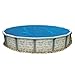 Blue Wave NS115 8-mil Solar Blanket for Round Above-Ground Pools, 21-ft, Blue
