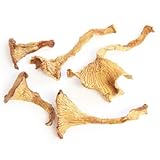 Dried Chanterelle Mushrooms - 2 oz. Life Gourmet Shop