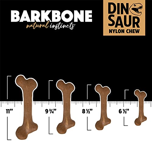Pet Qwerks Dinosaur BarkBone Nylon Dog Bone for Aggressive Chewers