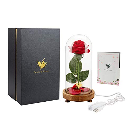 Dream of Flowers Beauty and The Beast Rose Kit, Red Silk Rose Lasts Forever in a Glass Dome with LED Lights, Gift for Women Mothers Day Valentine's Day Wedding Anniversary - Thumbnail 6