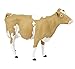 Safari Ltd. | Guernsey Cow | Safari Farm Collection | Toy Figurines for Boys & Girls