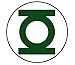 Green Lantern Child's Gloves Costume Accessory