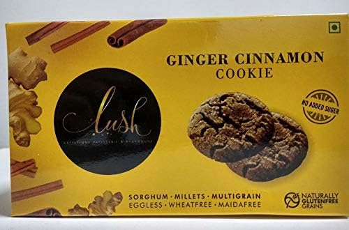 Lush-Eggless, Wheatfree, Maidafree, Multi-Grain, Gluten Free Ginger Cinnamon Cookie 90g