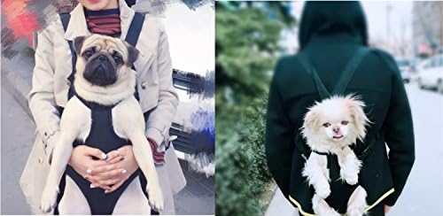 dog front carrier legs out