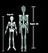 Halloween 5 Ft Skeleton Luminous Glow-in-The-Dark Skeleton for Halloween Party Bar Wall Sticker Decorations Outdoor Yard Garden Hanging Ornaments Props (5ft Skeleton)
