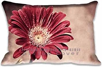 azfvveu Concrete Red Pillow Sham Decorative Standard Size Pillow Case Cushion Cover (Compass) 20 X 30 Inches / 50 By 75 Cm(Twin Side)