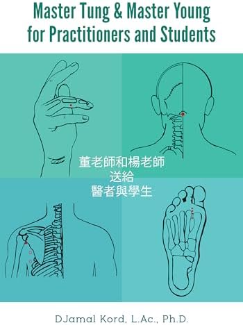 YNSA: Yamamoto New Scalp Acupuncture - Kindle edition by Hahn