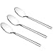 Lesbin Stainless Steel Flatware Dessert Spoon/Teapoon, Set of 12