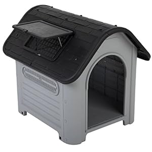easipet plastic dog kennel