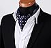HISDERN Men's Ascot Polka Dot Jacquard Woven Gift Cravat Tie and Pocket Square Set
