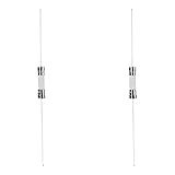 Heyiarbeit 2Pcs Ceramic Axial Lead Fuse 250V 10A