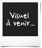 Canon CL-511 ChromaLife 100+ Colour Ink Tank Original 9ml Cyan Magenta Yellow view 3