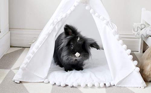 rabbit teepee