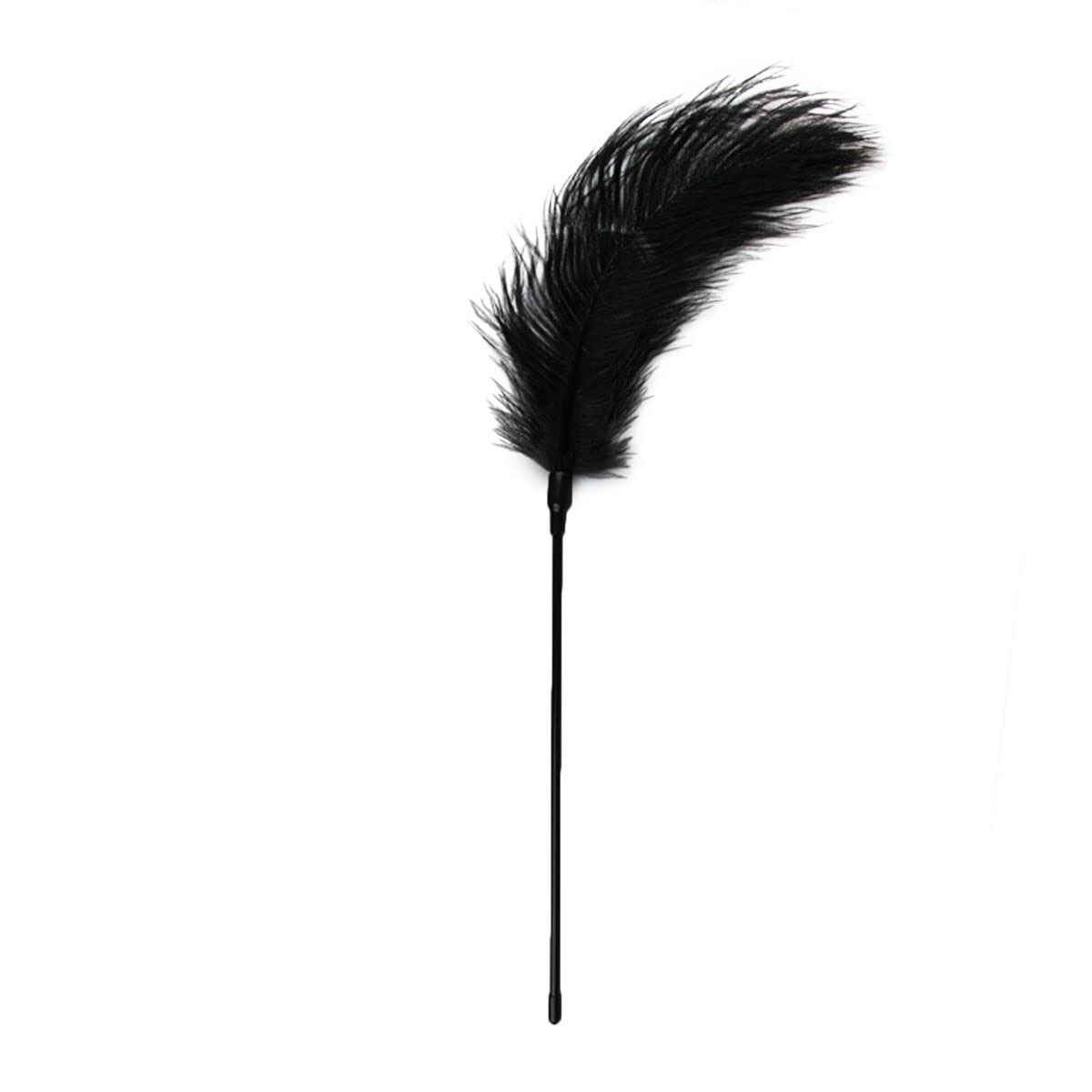 EasyToys Fetish Collection Black Feather Tickler, Black