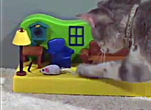 Cat Dancer Products Mouse in the House