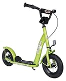 BIKESTAR Original Safety Pro Sport Push Kick Scooter Kids with Brakes, Mudguard and air Tires for Age 5 Year Old Children | Classic Edition with Alloy Wheels 10 Inch | Brilliant Green