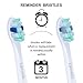 Replacement Brush Heads for Philips Sonicare Toothbrush, fits ProResults Plaque Control Gum Health DiamondClean FlexCare HealthyWhite Sonic Handles, 4 Pack by Lanveda