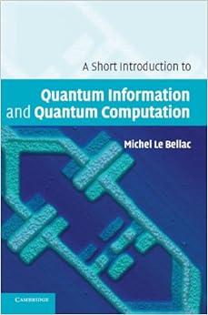 A Short Introduction to Quantum Information and Quantum Computation