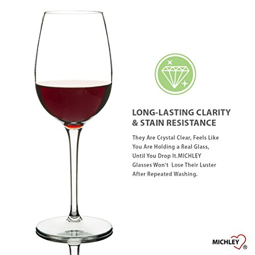 2 MICHLEY+Unbreakable+Shatterproof+BPA+free+Dishwasher+safe