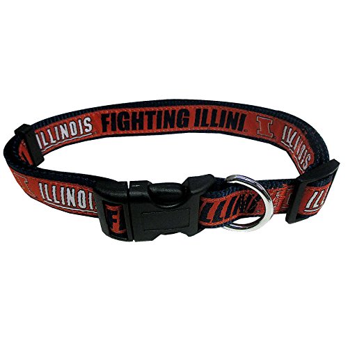 COLLEGE ILLINOIS FIGHTING ILLINI Dog Collar, Medium