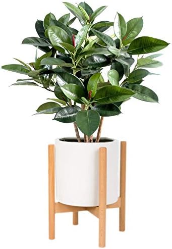 Kingbuy Plant Stand Mid Century Wood Flower Pot Holder, Simple Display Potted Rack, Modern Home Decor (Note: Plant Pot and Plant are not Included), 8inch Natural