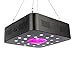 Dimgogo 600w Led Grow Light, Full Spectrum Plant Growing Lights with Three Switch for Indoor Plants, Hydroponic&Greenhouse, Veg and Flower Seed Starting