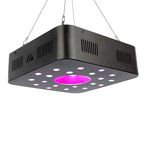 Dimgogo 600w Led Grow Light, Full Spectrum Plant Growing Lights with Three Switch for Indoor Plants, Hydroponic&Greenhouse, Veg and Flower Seed Starting