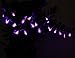 Velice Battery Operated LED Fairy String Lights 20 Purple Spider Lights Halloween Decoration Lights (Spider Light)