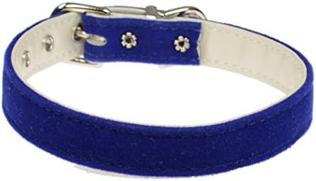 Evans Collars 1/2" Collar, Size 10, Velvet, Blue