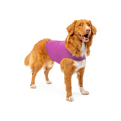 Mellow Shirt Dog Anxiety Calming Wrap, Small, Radiant Orchid Pricepulse