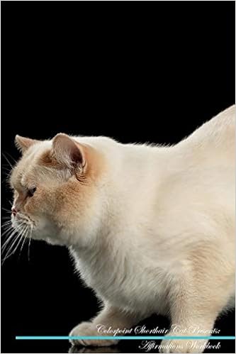 Buy Colorpoint Shorthair Cat Affirmations Workbook Colorpoint