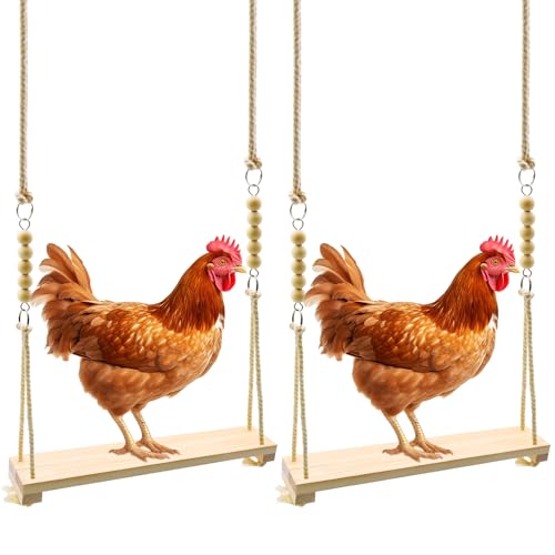 Chicken Swing Toys