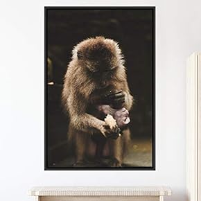 signwin Framed Canvas Wall Art Monkey Animals Expressive...