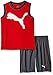 PUMA Boys' Toddler 2 Piece Short and Muscle Set, Smoke Grey, 2T