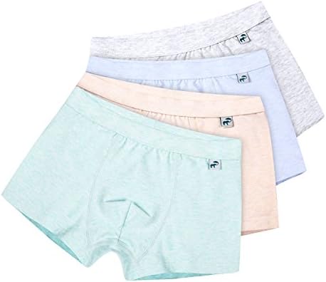 Defitck Little Boys Underwear Boxers Briefs Cotton Shorts Panties 4 Pack (2-4year, N11)
