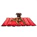 Favorite Portable Roll Up Waterproof Dog Bed Mat Cushion Indoor Outdoor Travel Camping