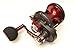 Daiwa STTLD40HSH Saltist Lever Drag Hyperspeed Reel