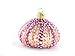 Old World Christmas Ornaments: Sea Urchin Glass Blown Ornaments for Christmas Tree (12254)