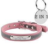M JJYPET Personalized Dog/Cat Collars Engraved Pet Collar with Name Plated,Reflective,Size Available:Extra-Small Small Medium Large Extra-Large