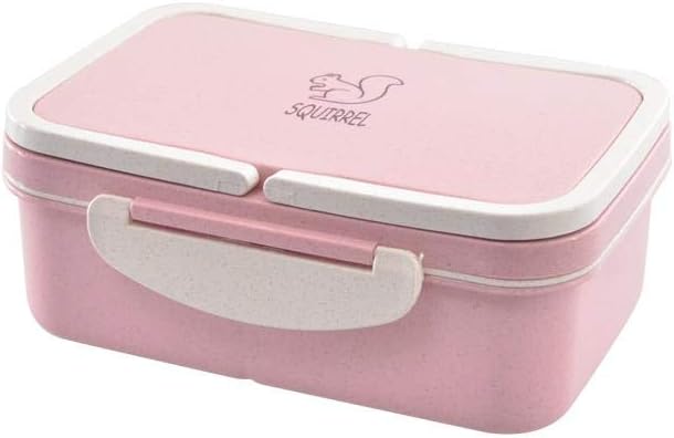 thermal lunch box for school