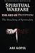 Spiritual Warfare & The Art of Deception: The Hijacking of Spirituality by Ari Kopel