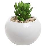 3.5 Inch Small Round Modern White Ceramic Succulent Planter Pot - MyGift