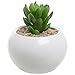 3.5 Inch Small Round Modern White Ceramic Succulent Planter Pot - MyGift