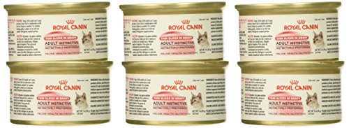 Royal Canin Adult Instinctive Thin Slices in Gravy Wet Cat Food, 3 oz., 6-Pack - //medicalbooks.filipinodoctors.org