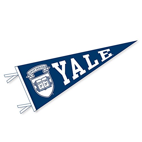 Yale Flag
