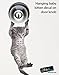 Cute Hanging Baby Kitten cat Door Decal Sticker #6067A