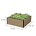 Everbloom Deep Root Raised Garden Bed 38″ L x 40″ W”x 14″ H for Growing Herbs, Vegetables, Flowersthumb 4